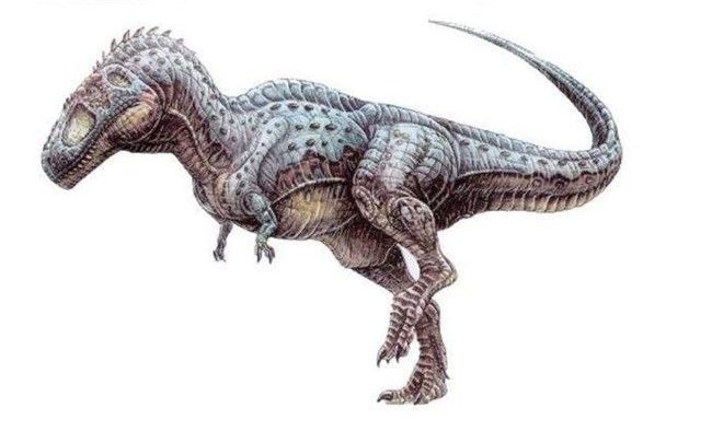 霸王龙秒杀棘龙_霸王龙吊打棘龙_棘龙和霸王龙哪个厉害