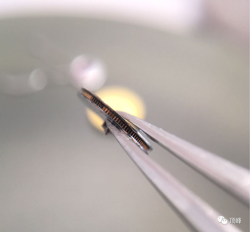 蝈蝈聊表——拆解卡地亚1847机芯