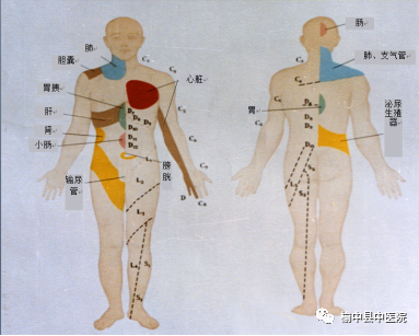 毫米波治疗仪有什么用​【康复利器】抗癌康复神器——毫米波治疗仪_https://www.jmylbn.com_新闻资讯_第8张