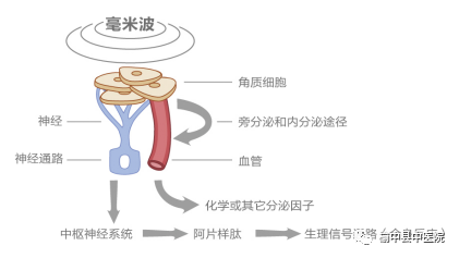 毫米波治疗仪有什么用​【康复利器】抗癌康复神器——毫米波治疗仪_https://www.jmylbn.com_新闻资讯_第5张