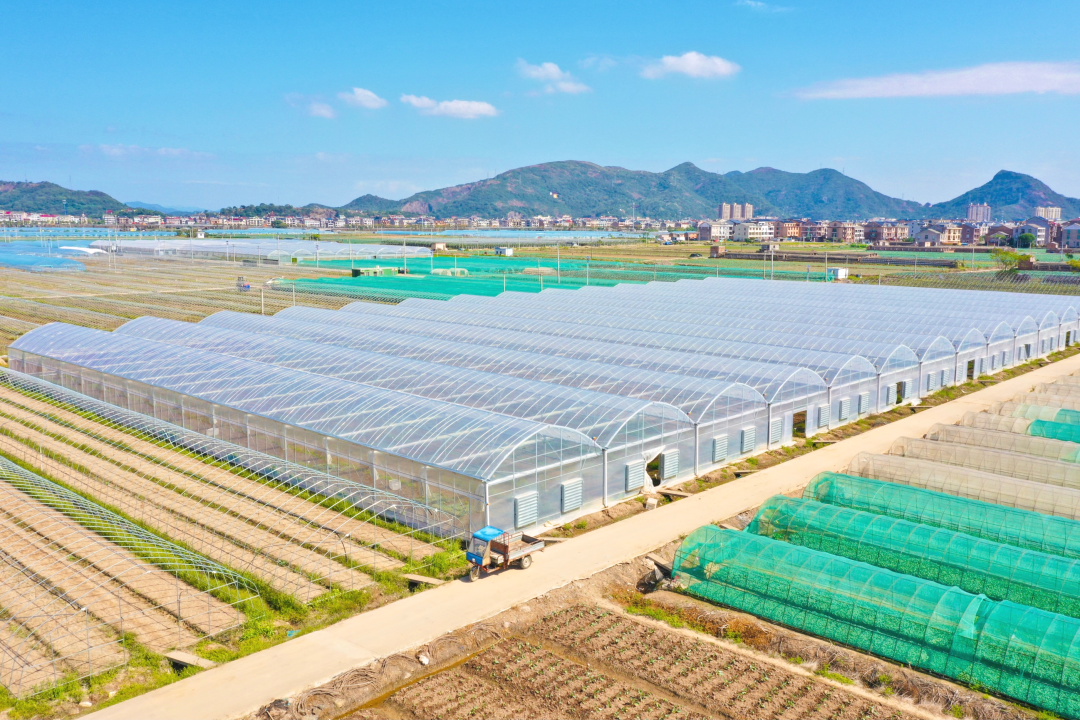 浙江公布乡村振兴最佳创新案例和最佳实践案例，台州两项！