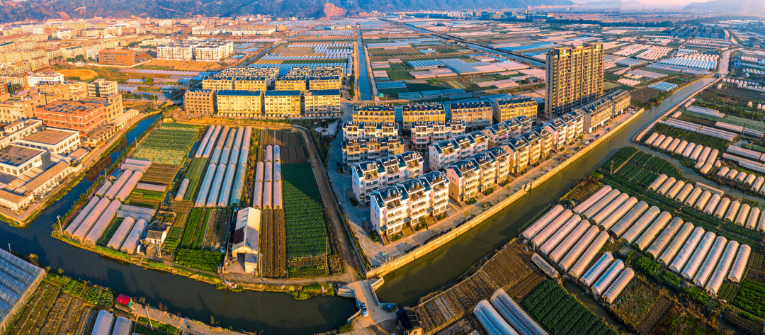 浙江公布乡村振兴最佳创新案例和最佳实践案例，台州两项！