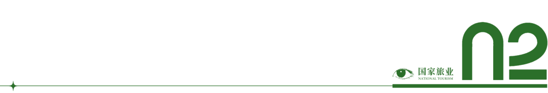 日本游“退烧”，国人出境游C位不是泰国！行业揭秘“替代黑马”(图5)