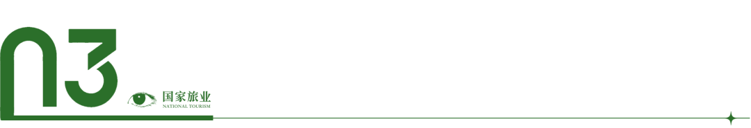 日本游“退烧”，国人出境游C位不是泰国！行业揭秘“替代黑马”(图8)