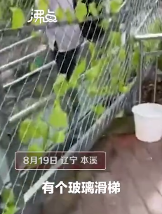 一死多傷，這種網紅景點又出事了…… 旅遊 第4張