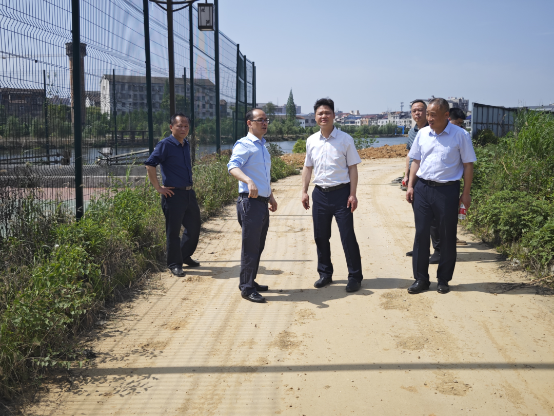 屈原管理区杨林彬调研全区城建工作