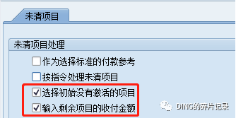 SAP 剩余支付 - 封面图