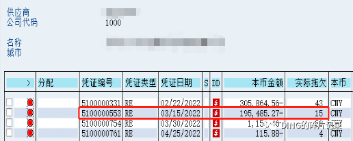 SAP 剩余支付 - 封面图