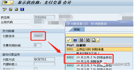SAP 剩余支付 - 封面图