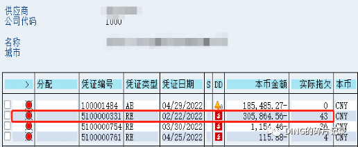 SAP 剩余支付 - 封面图