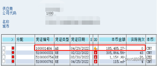 SAP 剩余支付 - 封面图