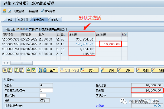 SAP 剩余支付 - 封面图