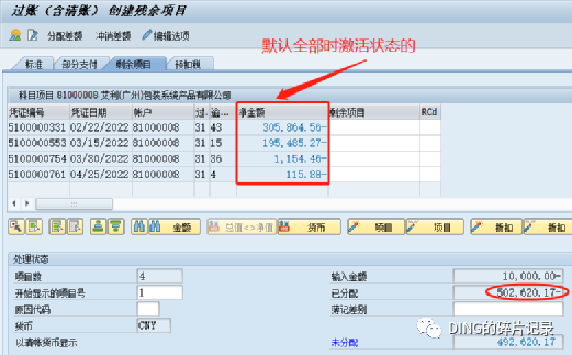 SAP 剩余支付 - 封面图
