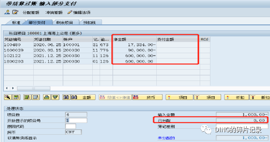 SAP 部分支付 - 封面图