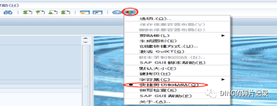 SAP 应用操作小技巧 - 封面图