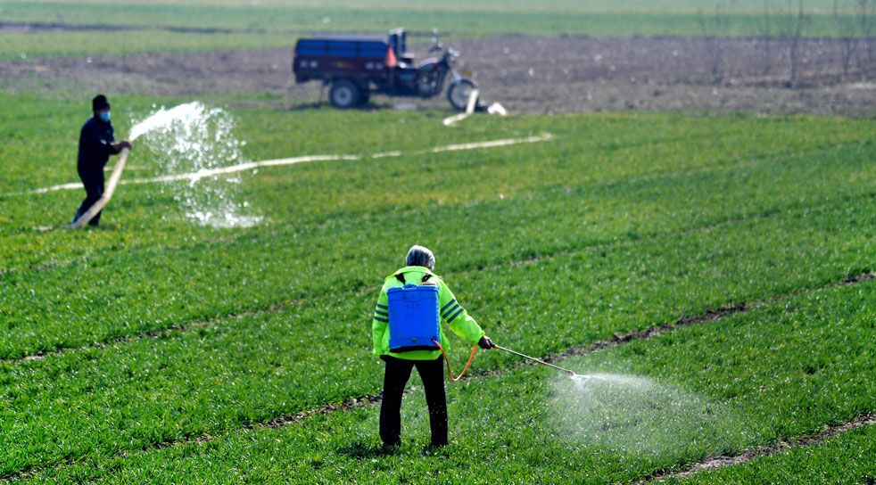 国务院常务会定了这两件大事(图1)
