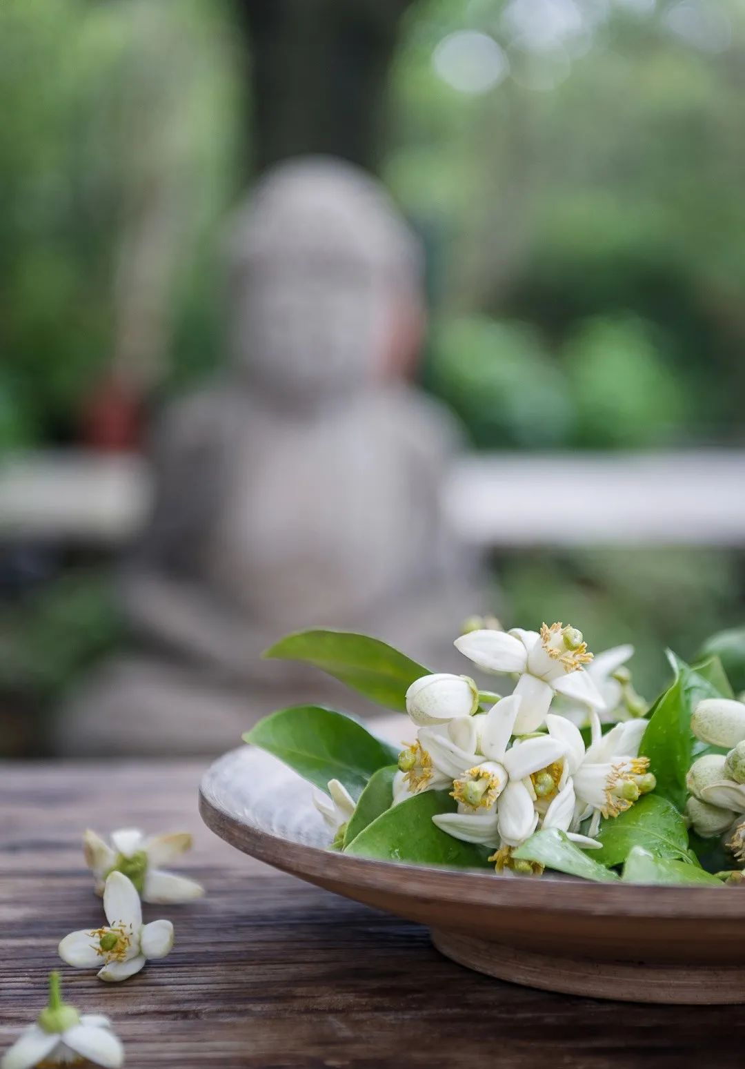 一杯柚子花茶藏起了广汉的四月