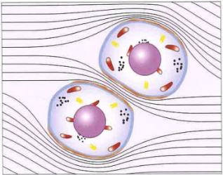 为什么手术用电刀东劢推荐：高频电外科设备2——高频电刀如何取代手术刀？从技术发展、组成原理到市场分析_https://www.jmylbn.com_新闻资讯_第1张