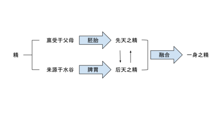 肾精亏虚？要不得！