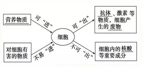 细胞膜 系统的边界知识点 生物100 微信公众号文章阅读 Wemp