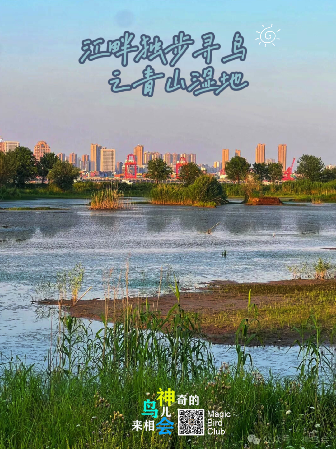 江畔独步寻鸟之青山湿地