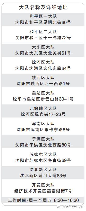 4月15日開始！瀋陽電動車抓緊看！ 汽車 第4張