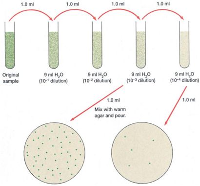 接种针用什么灭菌微生物检测基础知识大全！_https://www.jmylbn.com_新闻资讯_第5张