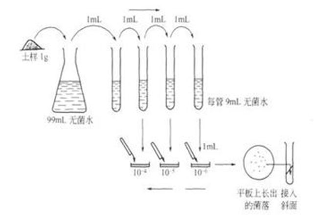 接种针用什么灭菌微生物检测基础知识大全！_https://www.jmylbn.com_新闻资讯_第4张