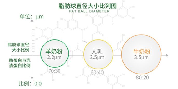 孕贝是哪个国家的_孕贝这个牌子怎么样_孕贝是德国的吗