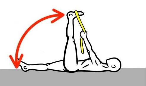 核心力量训练：仰卧放腿