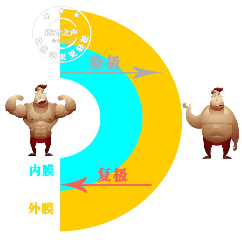 心电监护怎么看图图文并茂最全心电图，值得转发收藏_https://www.jmylbn.com_新闻资讯_第48张