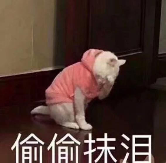 当代年轻人续命指南：养只宠物就万事大吉！