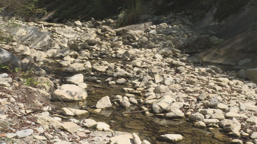 担架救人怎么使用老人喝药命悬一线，施救者门板当担架紧急救人！穿行山路6公里……_https://www.jmylbn.com_新闻资讯_第6张
