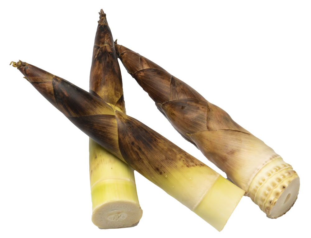 关于竹笋的消费提示_海南省食品安全综合服务网