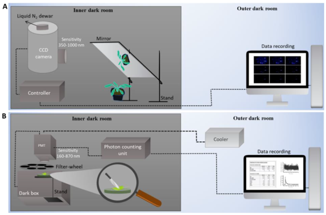 fa6100怎么使用丁妈深点评｜诺奖同源黑科技？深挖娇兰6100元「量子」超光CP_https://www.jmylbn.com_新闻资讯_第4张