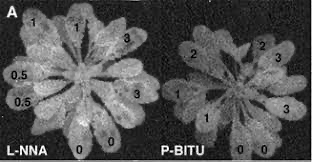 fa6100怎么使用丁妈深点评｜诺奖同源黑科技？深挖娇兰6100元「量子」超光CP_https://www.jmylbn.com_新闻资讯_第7张