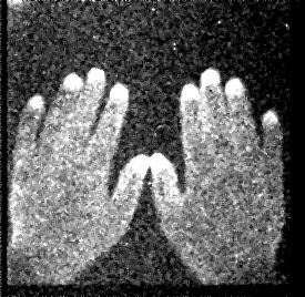 fa6100怎么使用丁妈深点评｜诺奖同源黑科技？深挖娇兰6100元「量子」超光CP_https://www.jmylbn.com_新闻资讯_第6张