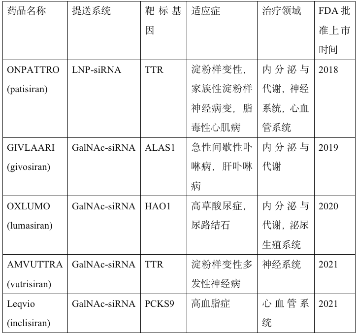 实现基因沉默的siRNA，未来最火的药物研发。