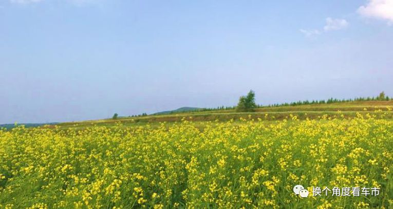 北京向北，找一個19℃的夏天 —比亞迪唐EV600草原天路周末錯峰自駕攻略 旅遊 第25張