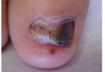 (Imag from Chinese network) 