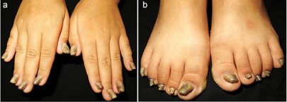 (Imag from Chinese network) 