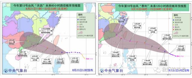 台风“泰利”已于昨晚生成 或超越“天鸽”成为风王
