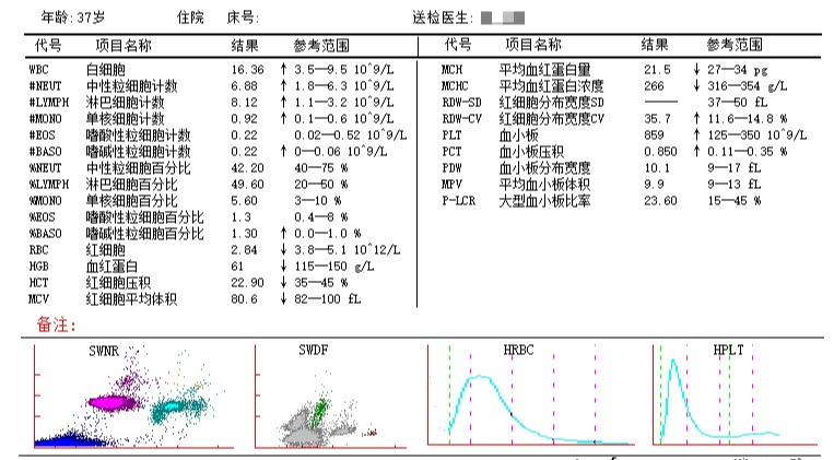 wdf通道显示异常散点图,wnr通道可见明显紫红色有核红细胞计数区,查看