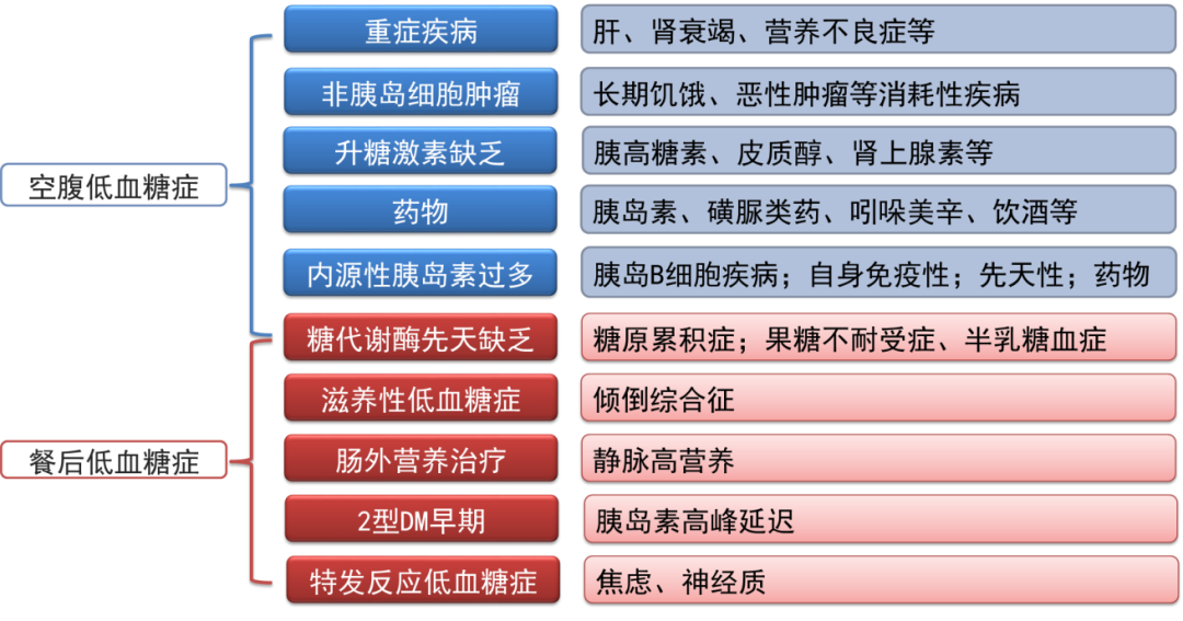 患者持续低血糖却未见明显的低血糖症状为什么