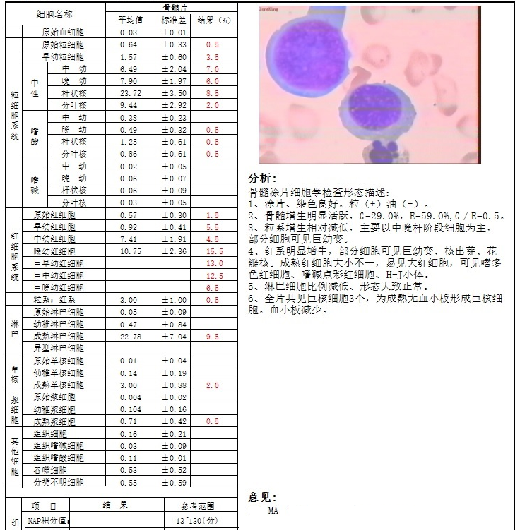 从生化视角断巨幼细胞性贫血_医学界-助力医生临床决策和职业成长