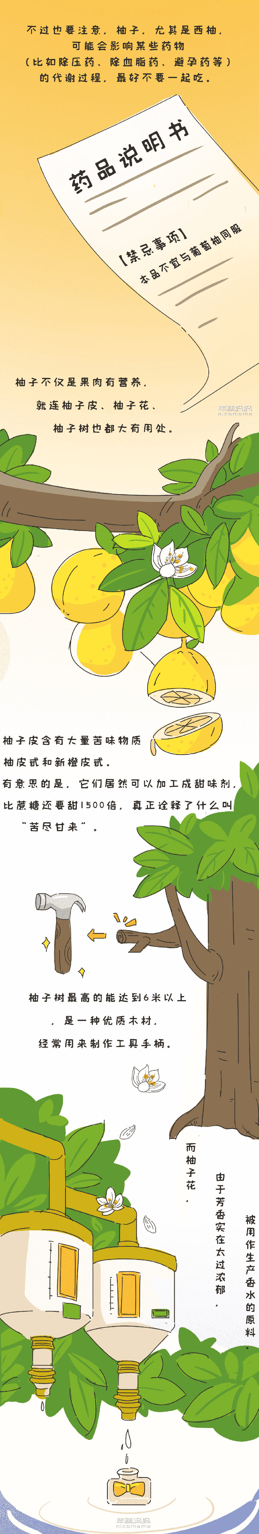 这种水果很甜但含糖量低 秋天正当季 不给娃吃太可惜 陪玩时光 微信公众号文章