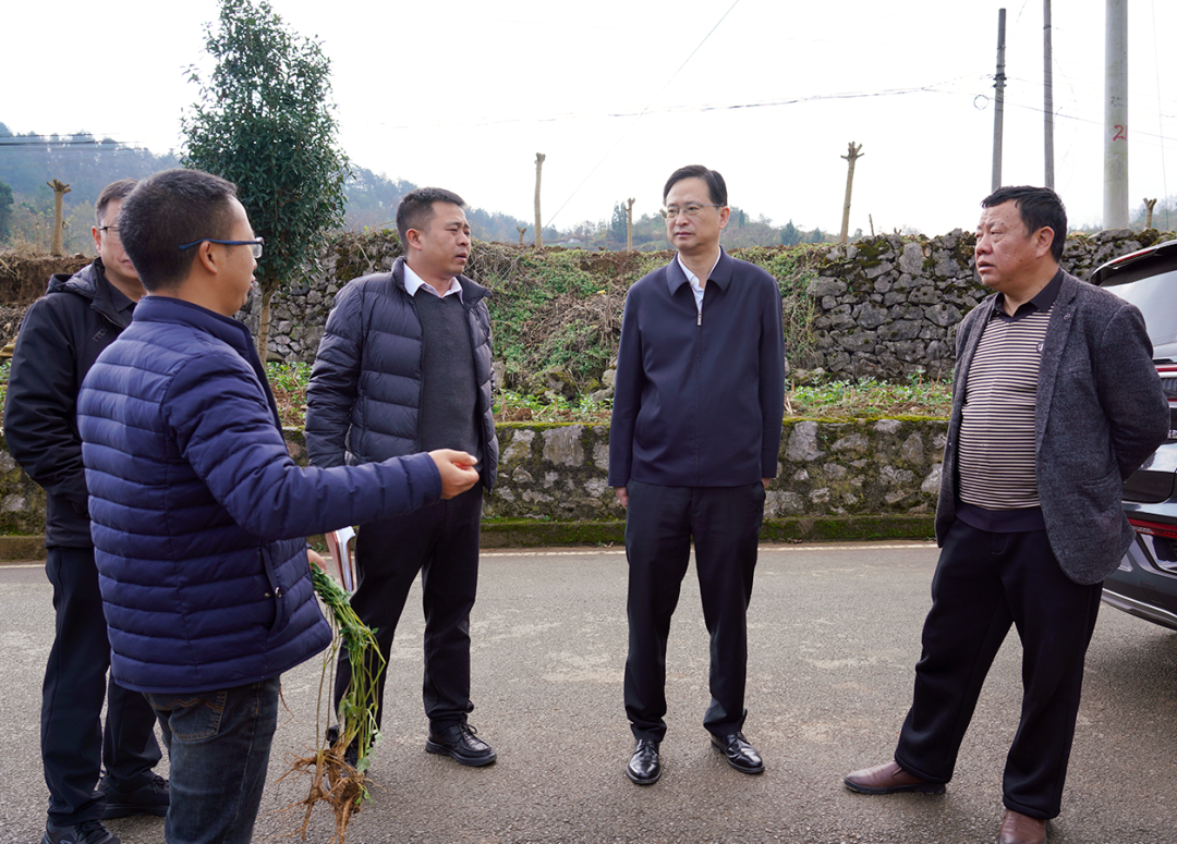 在暗流镇韩家坝村肉鸡养殖项目施工现场,付涛实地察