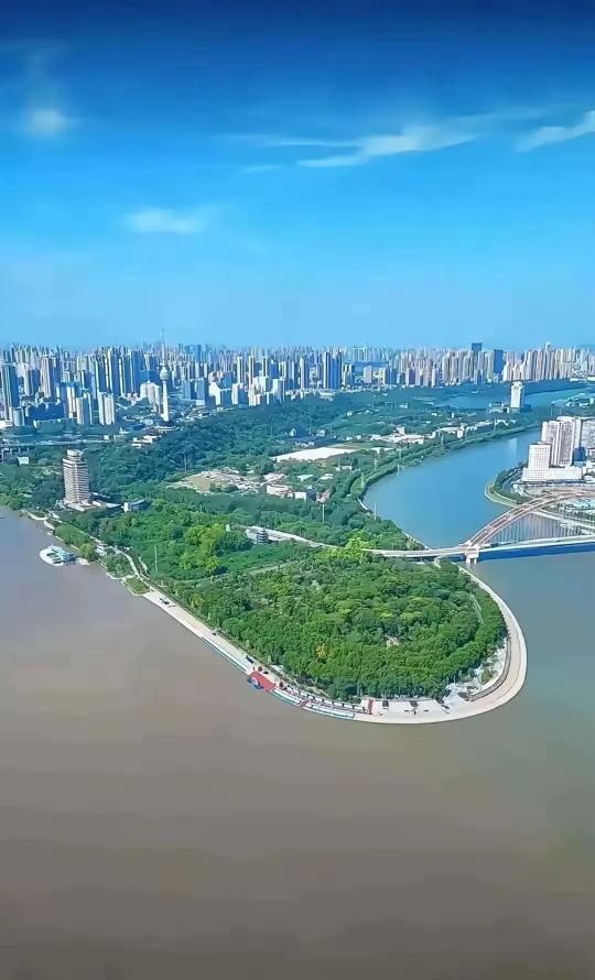 gore医疗怎么样四分支现成方案治疗复杂腹主和IV型胸腹主动脉瘤_https://www.jmylbn.com_新闻资讯_第2张