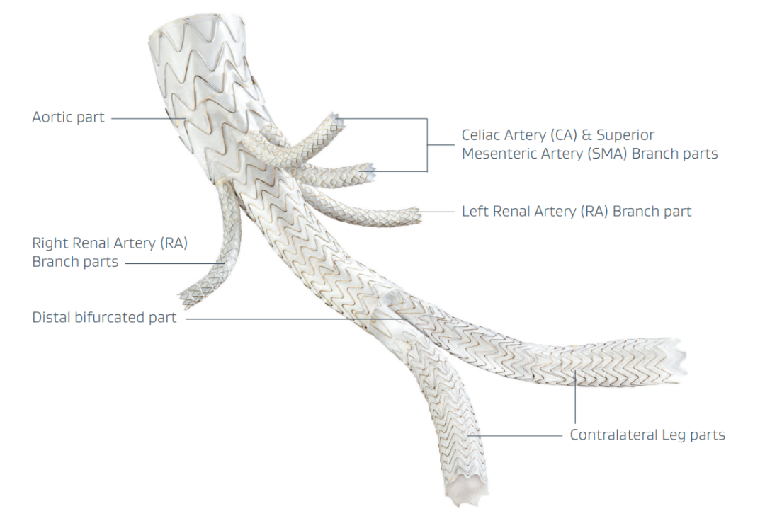 gore医疗怎么样四分支现成方案治疗复杂腹主和IV型胸腹主动脉瘤_https://www.jmylbn.com_新闻资讯_第9张