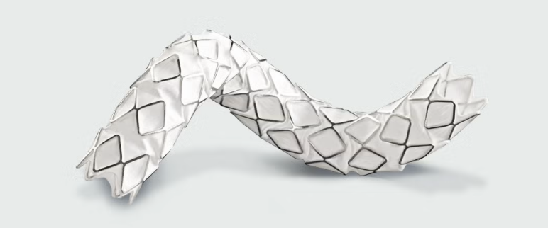 gore医疗怎么样TAMBE重塑复杂主动脉瘤治疗格局的技术解析_https://www.jmylbn.com_新闻资讯_第13张